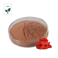 Poudre de Wolfberry de haute qualité